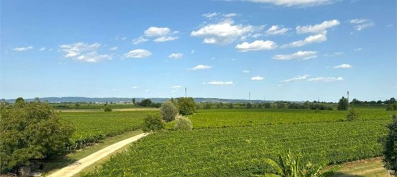 4 rooms Apartment in Monteforte d'Alpone, Italy No. 276477 9