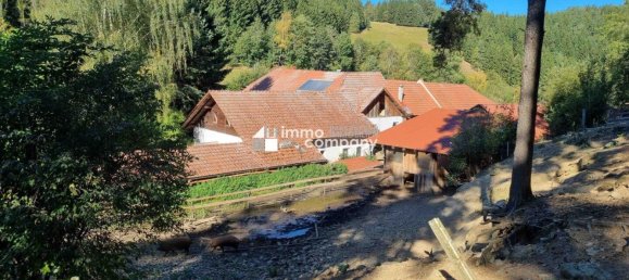 153000m² Commercial property in St. Leonhard bei Freistadt, Austria No. 213555 2