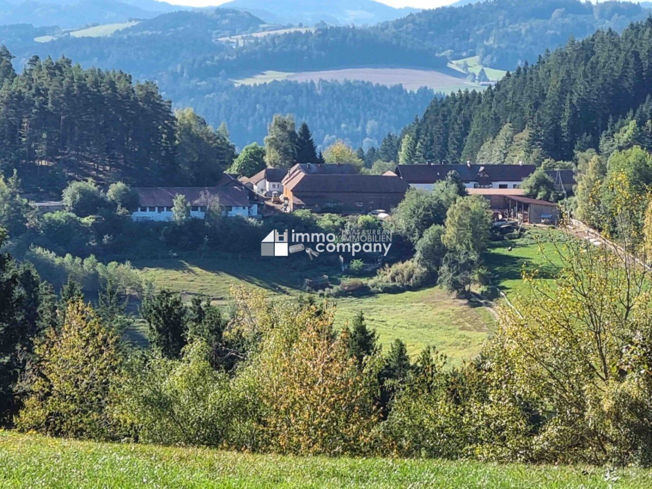 153000m² Commercial property in St. Leonhard bei Freistadt, Austria No. 213555