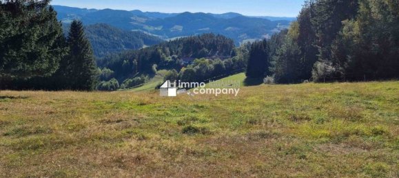 153000m² Commercial property in St. Leonhard bei Freistadt, Austria No. 213555 4