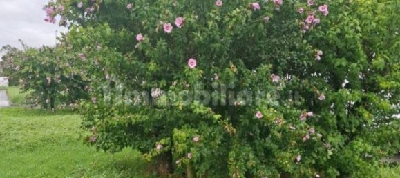 Apartamento de 1 dormitorio en Cologno Monzese, Italy No. 328262 15