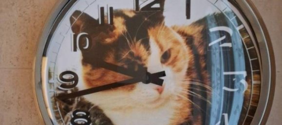 Apartamento de 1 dormitorio en Cologno Monzese, Italy No. 328262 5