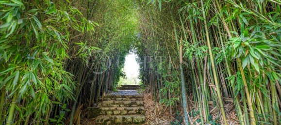 6 bedrooms Villa in Umbertide, Italy No. 267171 29