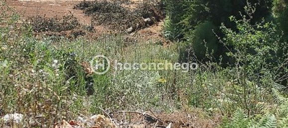  قطعة أرض في Barcelos, Portugal 561متر مربع رقم 34597 4