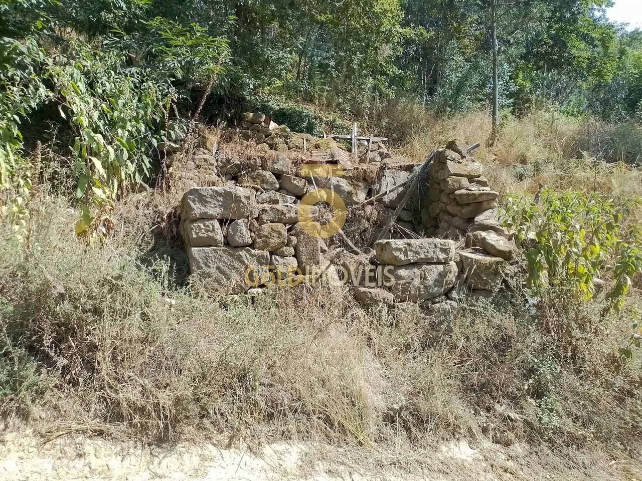 16220m² Land in Sao Cristovao de Nogueira, Portugal No. 274788