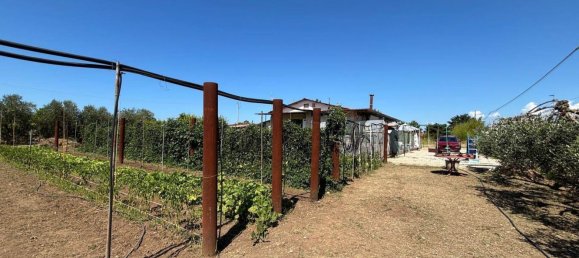 3غرفة منزل في Battipaglia, Italy رقم 289773 30