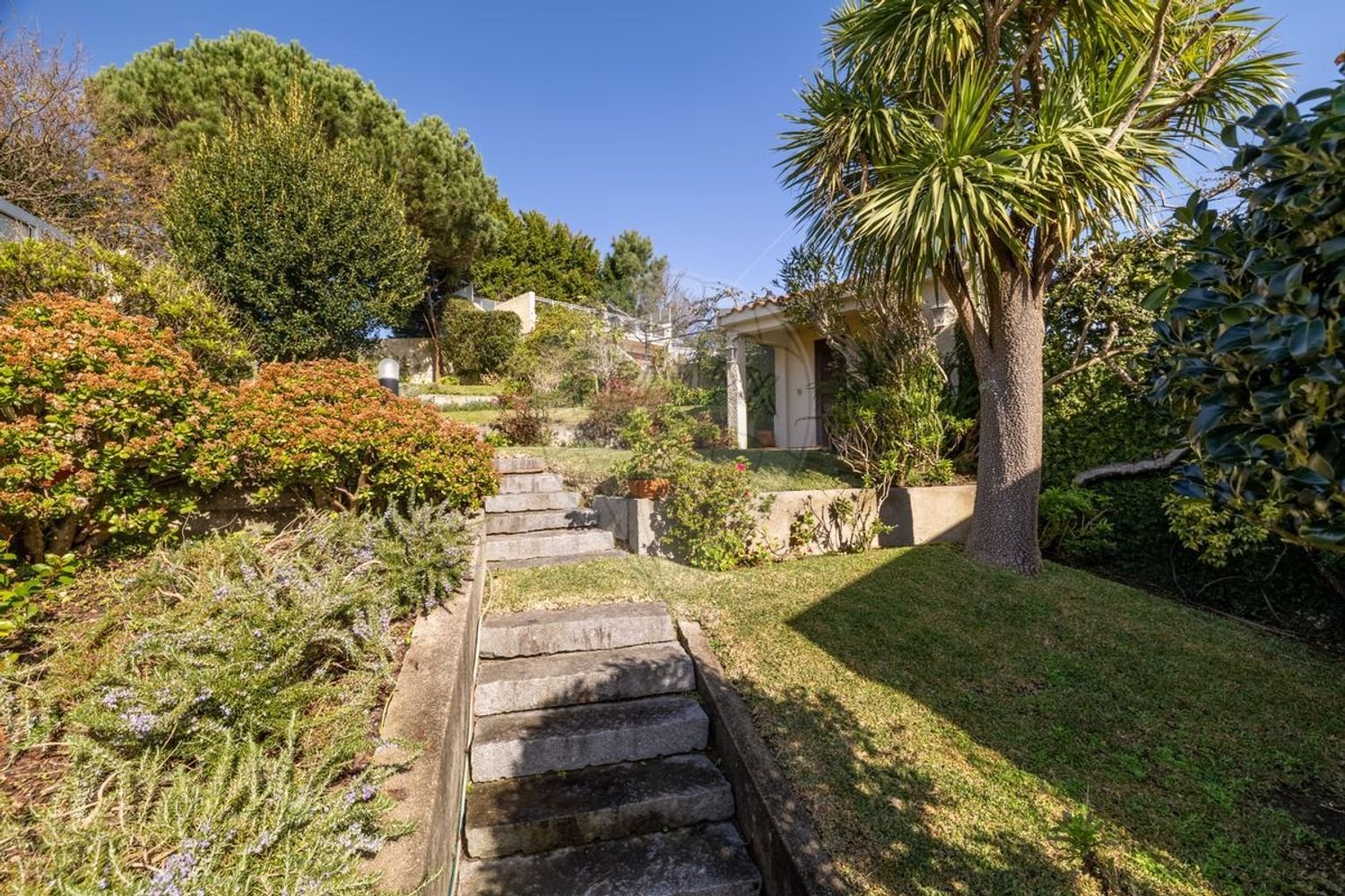 4 bedrooms House in Porto, Portugal No. 161961