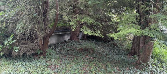  Land in St. Andra-Wordern, Austria No. 127744 5