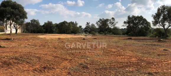 Terreno em Almancil, Portugal 3031 m² N.º 145997 14