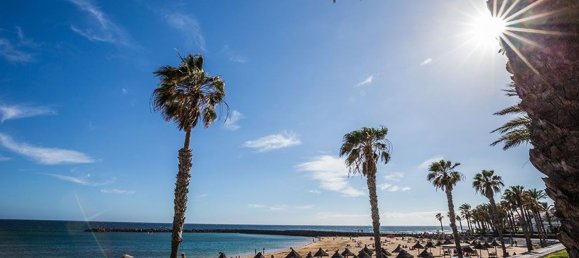 1 Schlafzimmer Wohnung in Arona, Spain, Nr. 42164 6