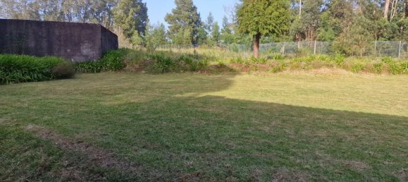 Casa T6 em Machico, Portugal N.º 96801 8