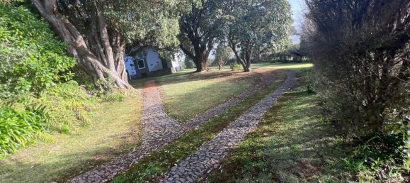 Casa T6 em Machico, Portugal N.º 96801 18