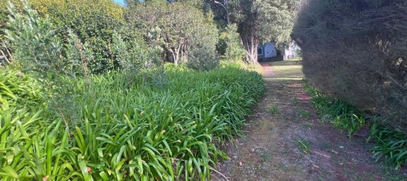 Casa T6 em Machico, Portugal N.º 96801 16