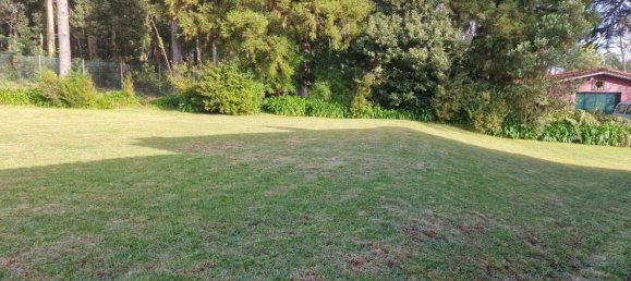 Casa T6 em Machico, Portugal N.º 96801 9