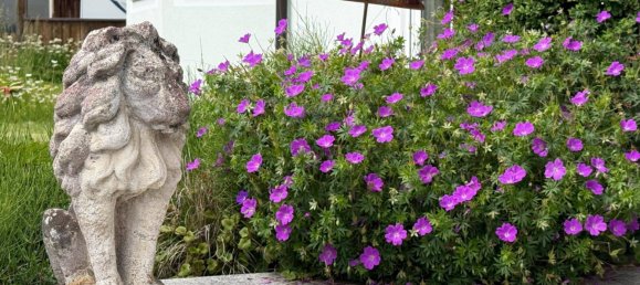 2 bedrooms Castles in Garsten, Austria No. 126406 7