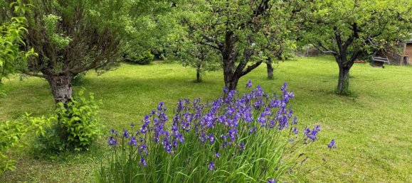 2 bedrooms Castles in Garsten, Austria No. 126406 42