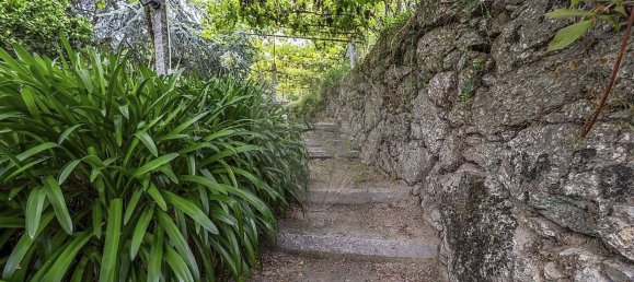 5 chambres Maison à Ruilhe, Portugal No. 43188 17