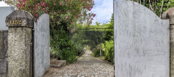 5 chambres Maison à Ruilhe, Portugal No. 43188 22