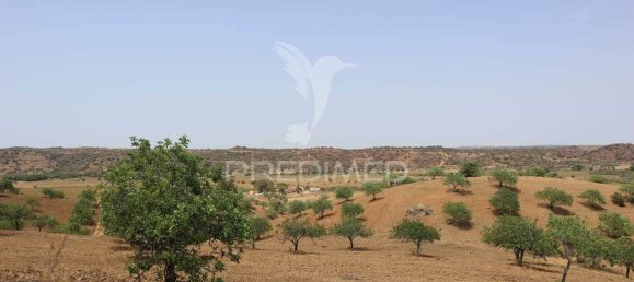 3568380m² Land in Azinhal, Portugal No. 135533 27