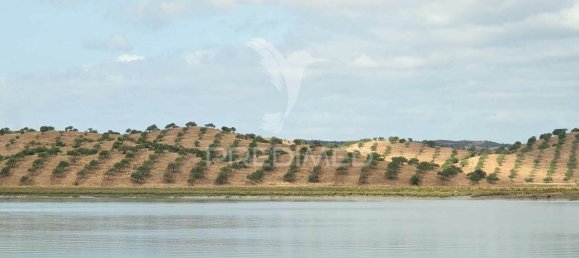 3568380m² Land in Azinhal, Portugal No. 135533 39