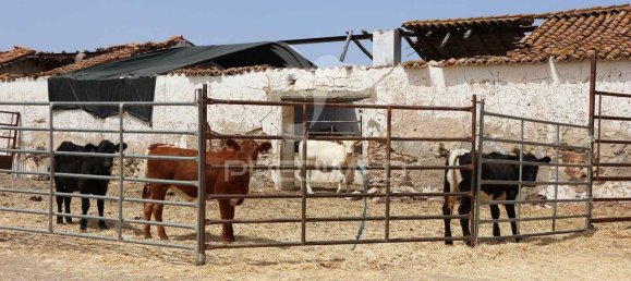 3568380m² Land in Azinhal, Portugal No. 135533 21