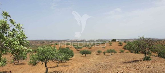 3568380m² Land in Azinhal, Portugal No. 135533 26