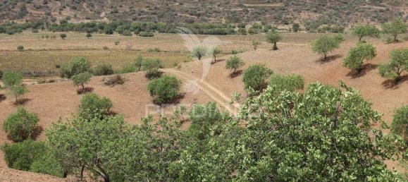 3568380m² Land in Azinhal, Portugal No. 135533 36