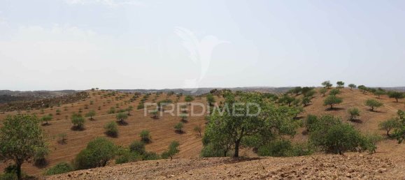 3568380m² Land in Azinhal, Portugal No. 135533 31