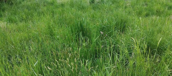  Land in Griffen, Austria No. 202576 2