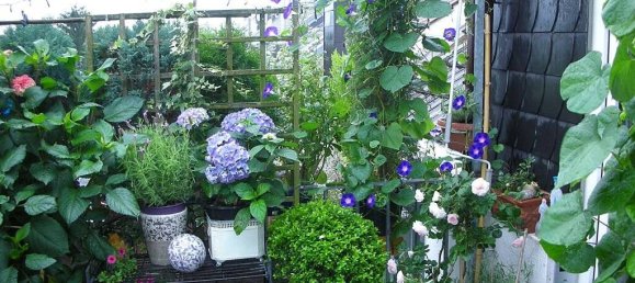 Duplex de 4 divisões em Monchengladbach, Germany N.º 63943 17