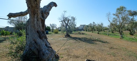 6 rooms Villa in Sannicola, Italy No. 237783 48