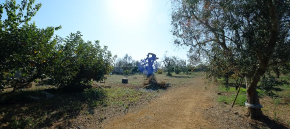 6 rooms Villa in Sannicola, Italy No. 237783 47