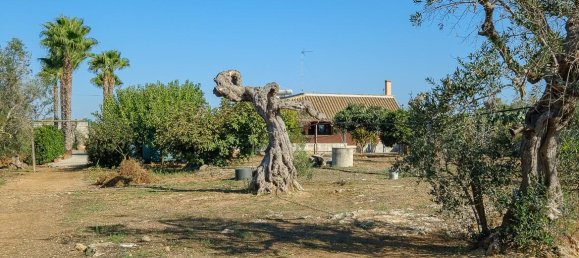 6 rooms Villa in Sannicola, Italy No. 237783 50