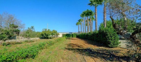 6 rooms Villa in Sannicola, Italy No. 237783 5