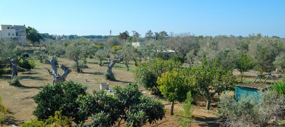 6 rooms Villa in Sannicola, Italy No. 237783 24