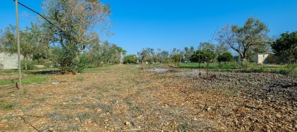 6 rooms Villa in Sannicola, Italy No. 237783 49