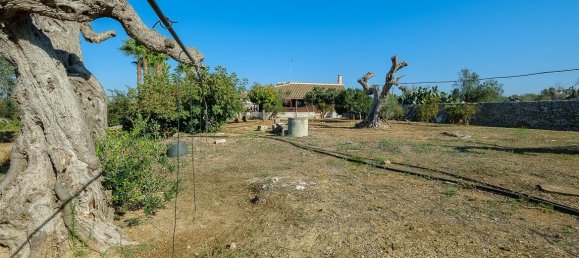 6 rooms Villa in Sannicola, Italy No. 237783 2