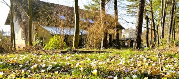 Edificio en Spree-Neise, Germany 293 m² No. 112402 2