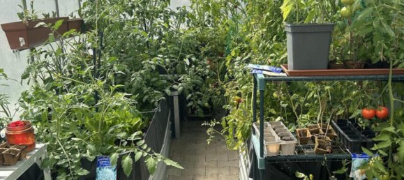 9-Zimmer Schlösser in Dillingen an der Donau, Germany, Nr. 118189 14