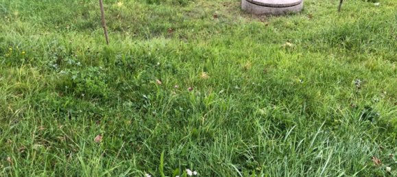 Grundstück in Cham, Germany, Nr. 330789 2