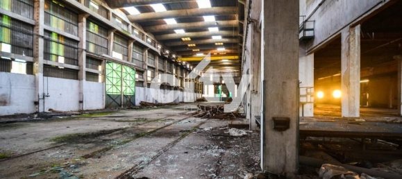 18995m² Warehouse in Cartaxo, Portugal No. 90936 9