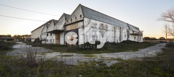 18995m² Warehouse in Cartaxo, Portugal No. 90936 24