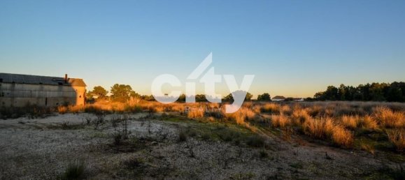 18995m² Warehouse in Cartaxo, Portugal No. 90936 14