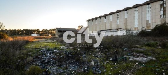 18995m² Warehouse in Cartaxo, Portugal No. 90936 19