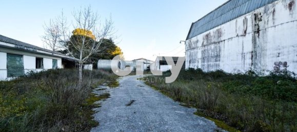 18995m² Warehouse in Cartaxo, Portugal No. 90936 3