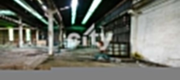 18995m² Warehouse in Cartaxo, Portugal No. 90936 11