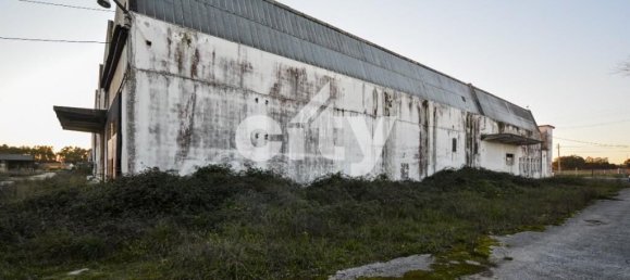 18995m² Warehouse in Cartaxo, Portugal No. 90936 22