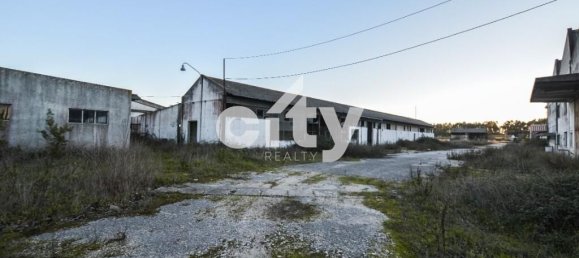 18995m² Warehouse in Cartaxo, Portugal No. 90936 4