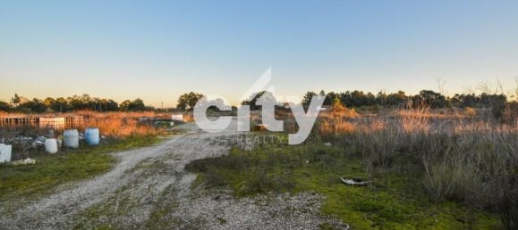 18995m² Warehouse in Cartaxo, Portugal No. 90936 18