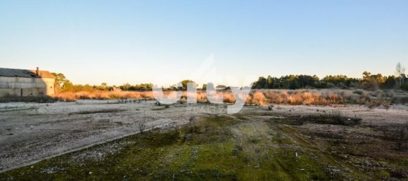 18995m² Warehouse in Cartaxo, Portugal No. 90936 12